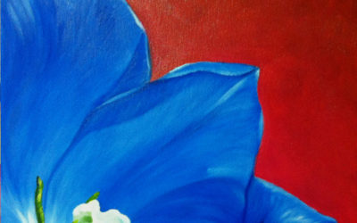 Tulipano Blu