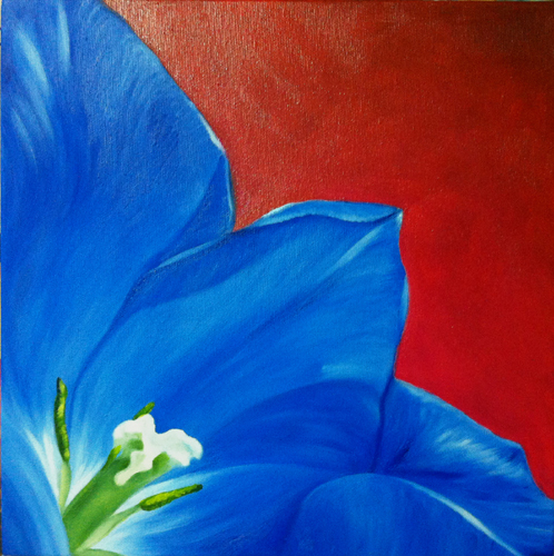 Tulipano Blu